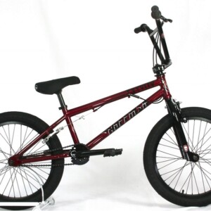 bmx009