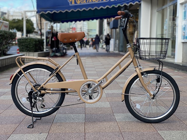 minivelo004