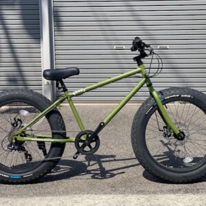 citycruiser81